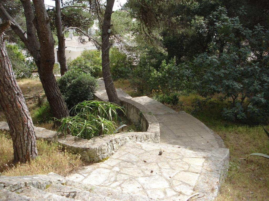 Trullo In The Wood Villa Nardò Eksteriør bilde